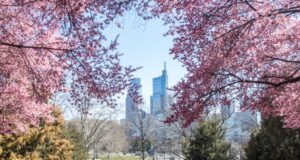 Fully reopening Philadelphia: The plan for relaxing COVID-19 restrictions