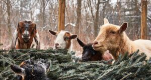 Places To Go, Things To Do | Week of January 9, 2023