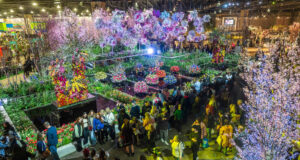 Things To Do in #Philly this week! | Week of Feburary 24, 2025 #PlacesToGo #ThingsToDO