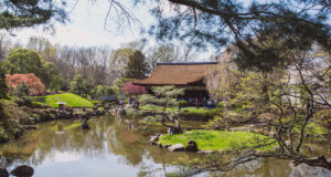 Things To Do in #Philly this week! | Week of March 17, 2025 #PlacesToGo #ThingsToDo