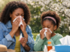 How to Handle Allergy Season: Simple Tips for Relief from Seasonal Allergies How to Handle Allergy Season: Simple Tips for Relief from Seasonal Allergies